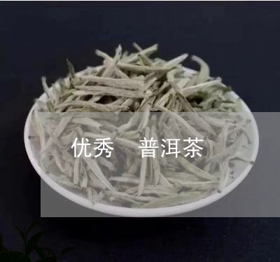 优秀 普洱茶/2023042830835